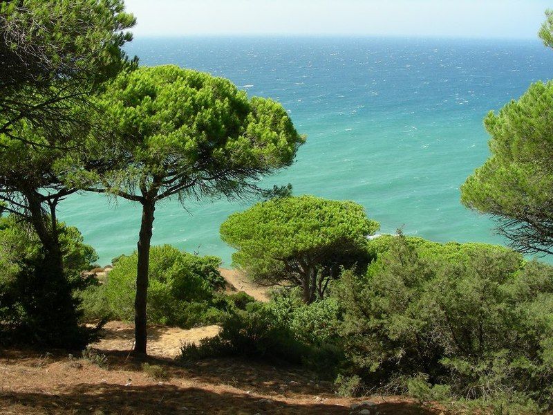 La Aceitera De Trafalgar Maison d'hôtes 3*